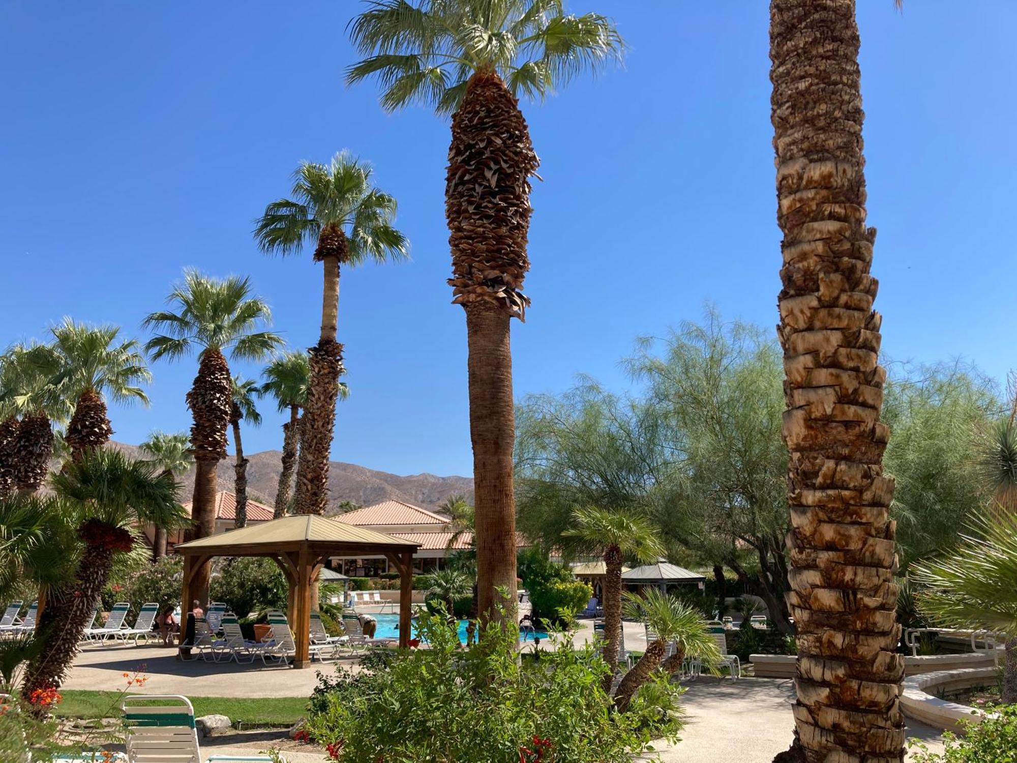 Miracle Springs Resort And Spa Desert Hot Springs Kültér fotó